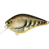 LUCKY CRAFT FAT CB BDS2 SQUAREBILL CRANKBAITS