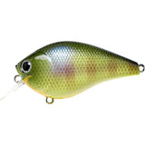 LUCKY CRAFT FAT CB BDS2 SQUAREBILL CRANKBAITS
