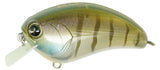 IMA SQUAREBILL CRANKBAIT
