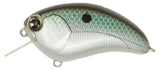 IMA SQUAREBILL CRANKBAIT