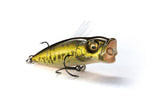 MEGABASS BABY POPX BFS POPPER