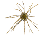 STRIKE KING TUMBLEWEED FLOATING