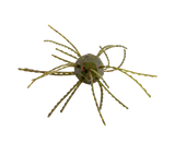 STRIKE KING TUMBLEWEED SALTED