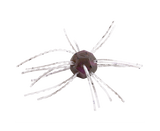 STRIKE KING TUMBLEWEED SALTED