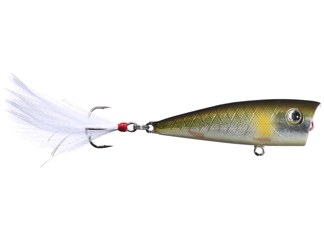 Lure Review- Lobina Rico 