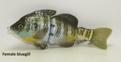 MATT LURES HARDGILL SWIMBAITS