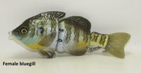 MATT LURES HARDGILL SWIMBAITS