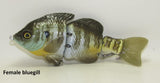 MATT LURES HARDGILL SWIMBAITS