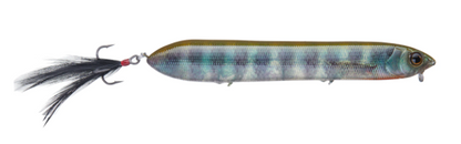 DEPS BRACHIOSTICK