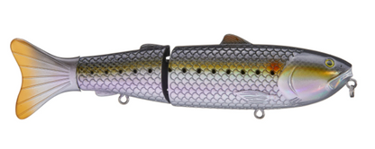 BAITSANITY EXPLORER GLIDE – The Bass Hole