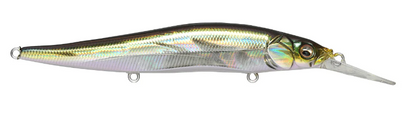 MEGABASS VISION ONETEN+1