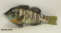 MATT LURES HARDGILL SWIMBAITS