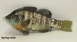 MATT LURES HARDGILL SWIMBAITS