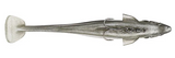 MEGABASS MAGDRAFT SWIMBAIT